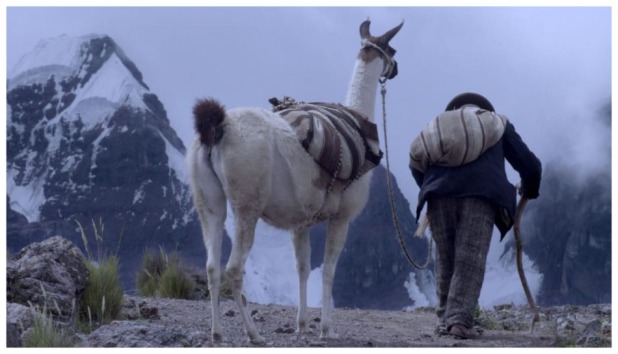 Drame De La Cordillère Des Andes PEROU PACHA - Longs-métrages 2019